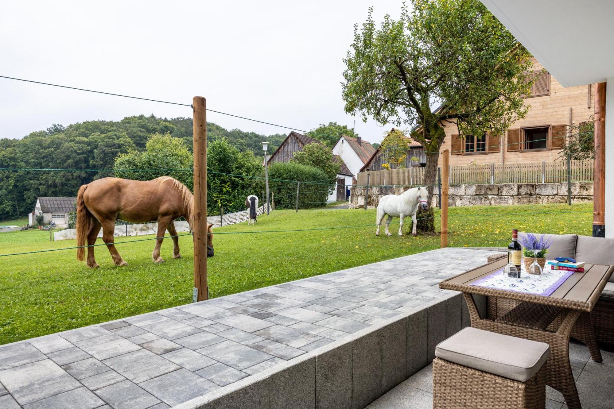 Brunnerhof Urlaub Auf Dem Land Apartment Hartenstein  Екстериор снимка